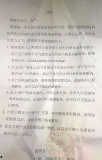 浮力影院第一页国产,浮力影院引领国内观影新潮流